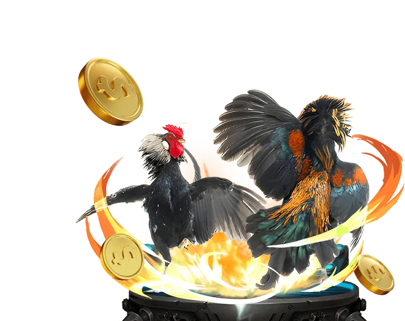 Mẹo cá cược đá gà hiệu quả tại Dola777